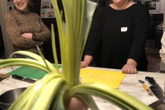 cleaning leeks  is easy when you know the trick to getting in between the leaves.