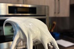 IMG_1530