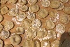 hand made semolina orecchiette
