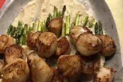 black team picked the scallop protein